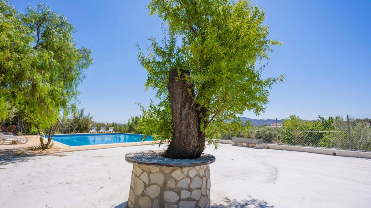 Вілла Cortijo El Alamo 1 Velez Blanco By Ruralidays Екстер'єр фото